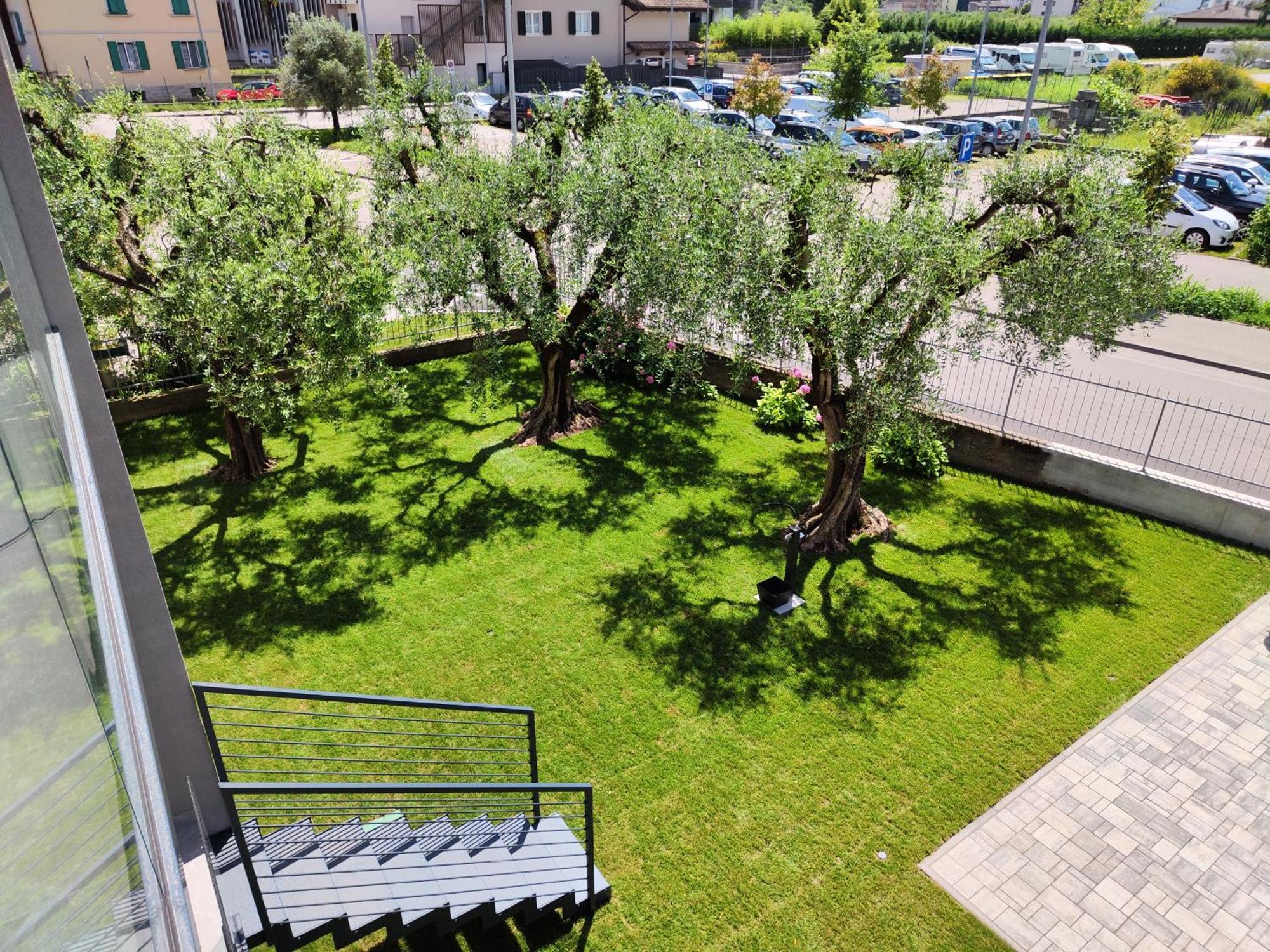 Oasi Degli Ulivi Apartment Riva del Garda Bagian luar foto