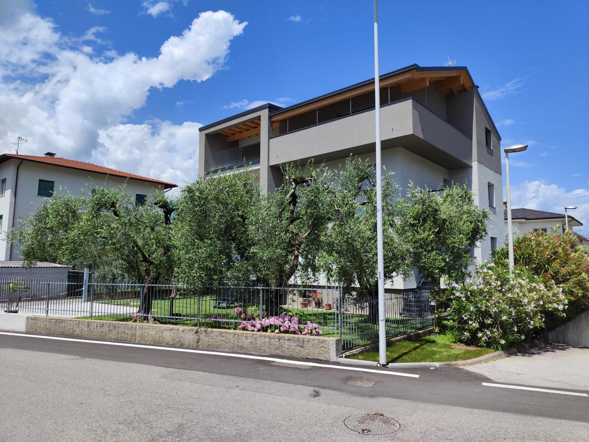 Oasi Degli Ulivi Apartment Riva del Garda Bagian luar foto