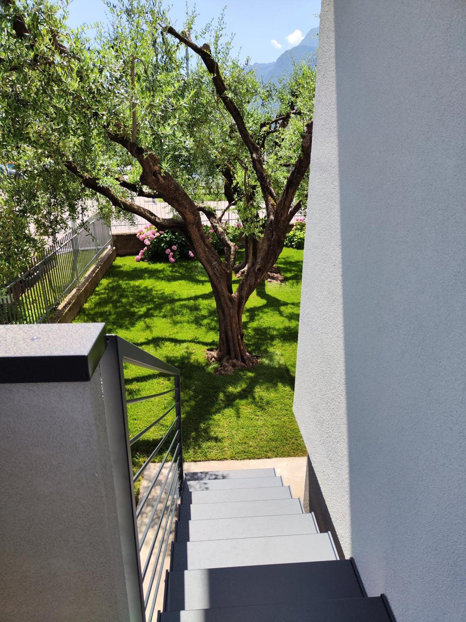 Oasi Degli Ulivi Apartment Riva del Garda Bagian luar foto