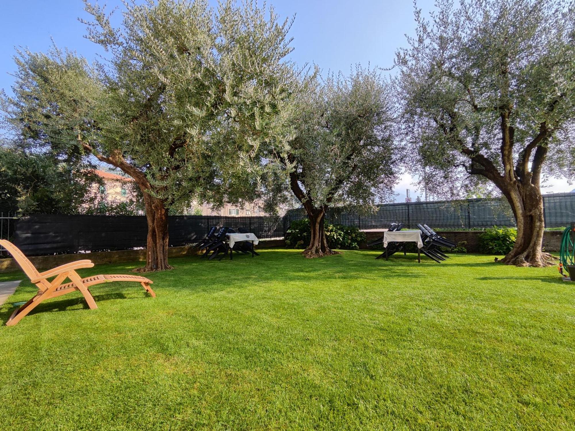 Oasi Degli Ulivi Apartment Riva del Garda Bagian luar foto