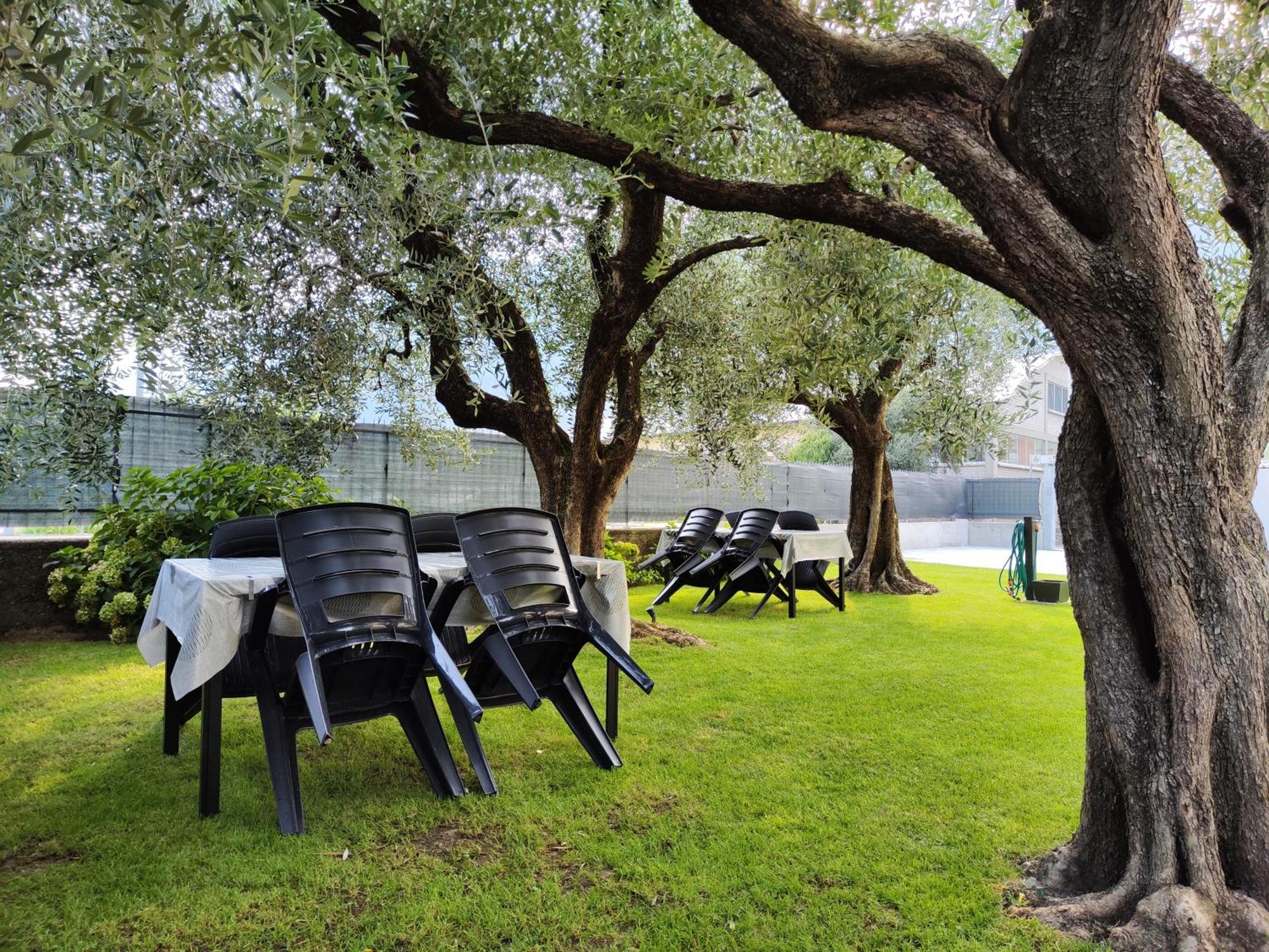 Oasi Degli Ulivi Apartment Riva del Garda Bagian luar foto